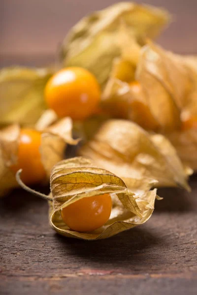 Physalis 과일 — 스톡 사진