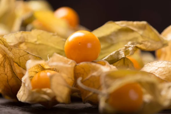 Physalis 과일 — 스톡 사진