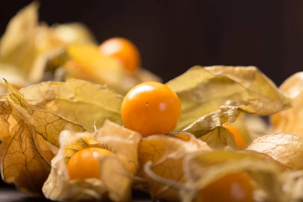 Physalis 과일 — 스톡 사진