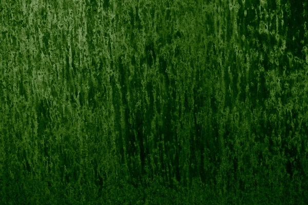 Грязная зелёная текстура — стоковое фото