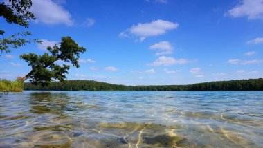 Güzel su ve manzaraya Alman göl Stechlinsee