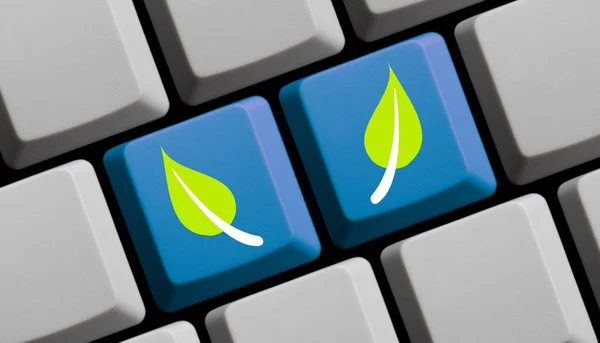新蓝电脑键盘两个叶子 — 图库照片