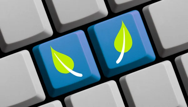 Blue computer keyboard Two Leafs