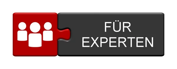 Puzzle Button: For Experts german — Stock Photo, Image