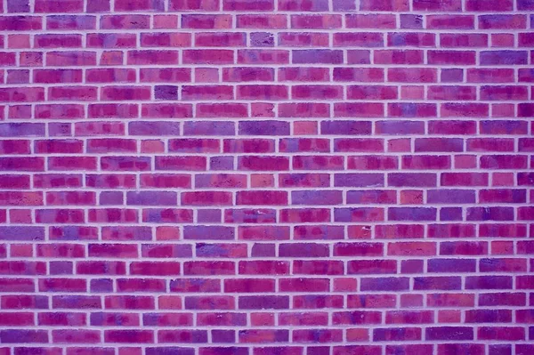 보라색 벽돌 벽 배경 — 스톡 사진