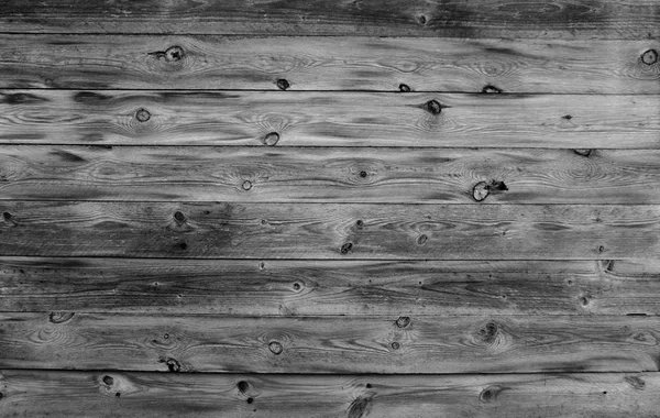 Elegant grey wooden background — Stock Photo, Image