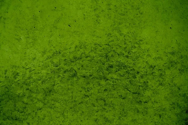 Concrete Wall background green — Stock Photo, Image