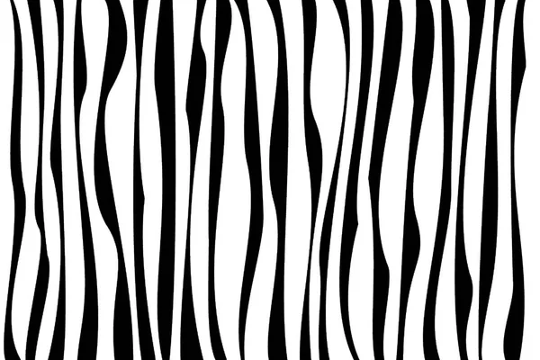Texture zebra Bianco e nero — Foto Stock