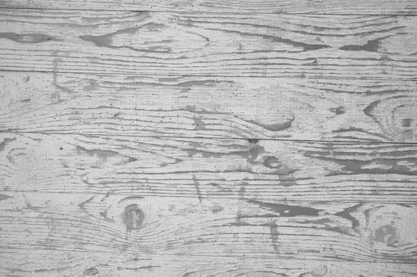 Wood grain tekstura biały — Zdjęcie stockowe