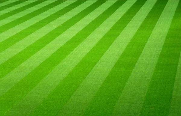 Puste boisko do piłki nożnej z zieloną trawą — Zdjęcie stockowe