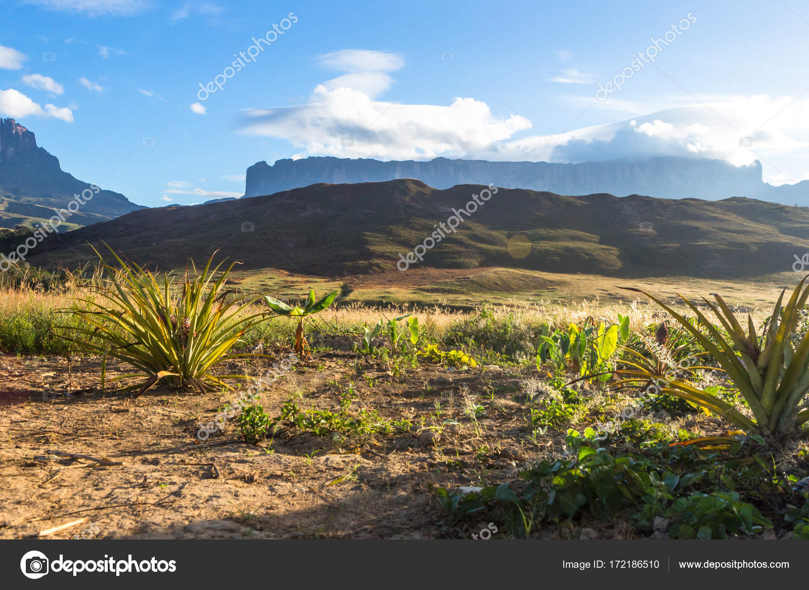 Mount Roraima Venezuela — Stock Photo © MaRabelo 172186510