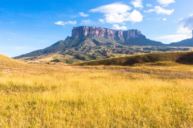 Mount Roraima Venezuela clipart