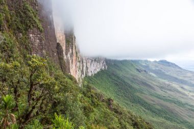 Mount Roraima Venezuela 