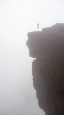 Mount Roraima Venezuela 
