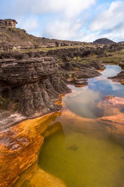 Mount Roraima Venezuela 