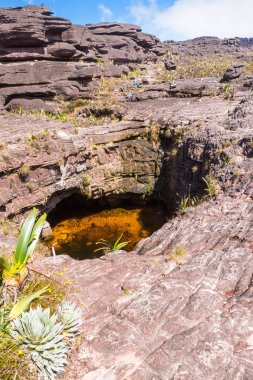 Mount Roraima Venezuela 