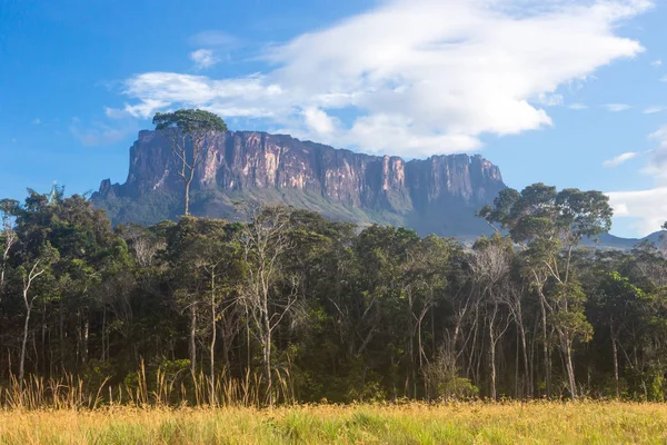 Muntele Roraima Venezuela — Fotografie, imagine de stoc