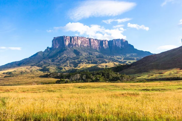 Mount Roraima Venezuela — Stockfoto