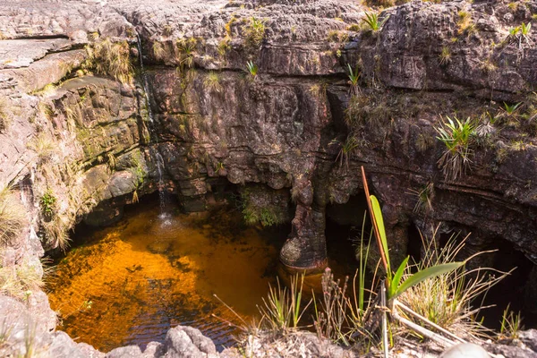 Monte Roraima Venezuela —  Fotos de Stock