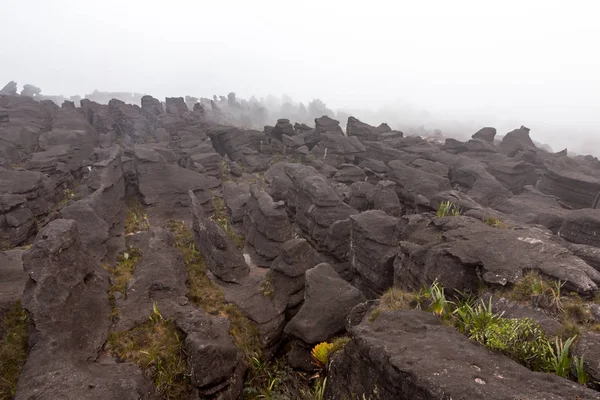 Mount Roraima Venezuela — Stock Photo, Image