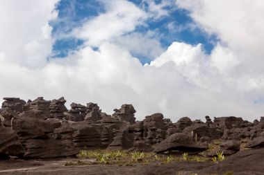 Mount Roraima Venezuela