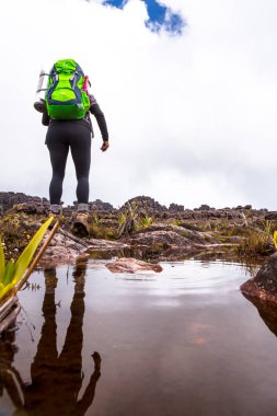 Mount Roraima Venezuela