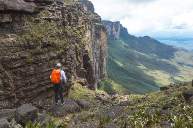 Mount Roraima Venezuela