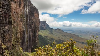 Mount Roraima Venezuela