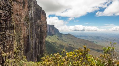 Mount Roraima Venezuela