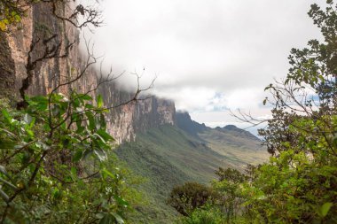 Mount Roraima Venezuela