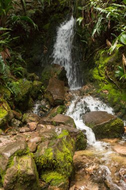 Mount Roraima Venezuela
