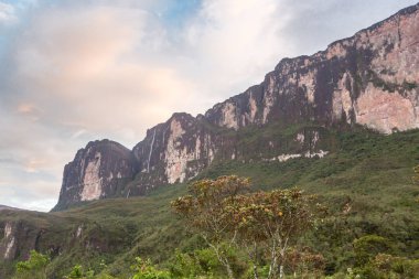 Mount Roraima Venezuela
