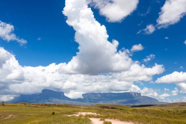 Mount Roraima Venezuela