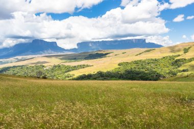 Mount Roraima Venezuela
