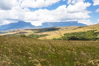 Mount Roraima Venezuela