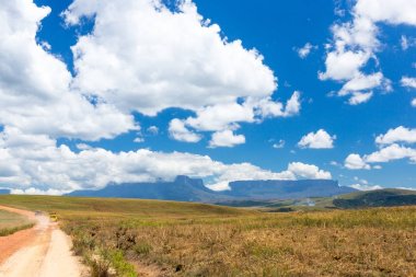 Mount Roraima Venezuela
