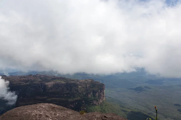 Monte Roraima Venezuela — Foto de Stock