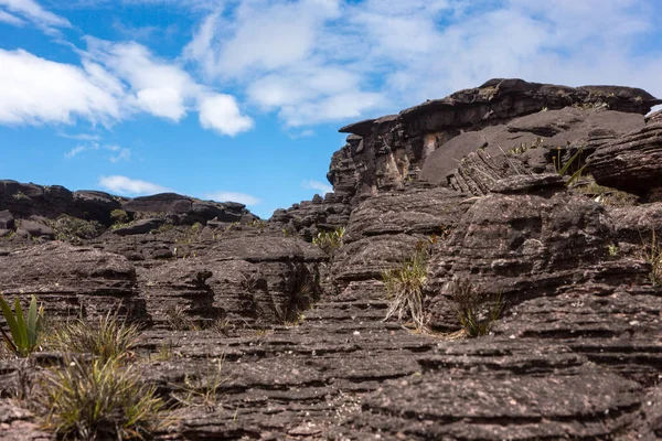 Monte Roraima Venezuela — Foto de Stock