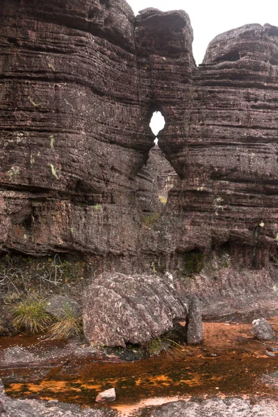 Monte Roraima Venezuela —  Fotos de Stock