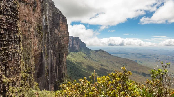 Muntele Roraima Venezuela — Fotografie, imagine de stoc