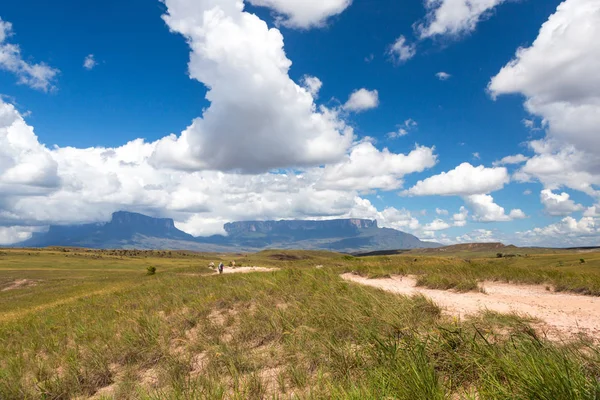 Muntele Roraima Venezuela — Fotografie, imagine de stoc