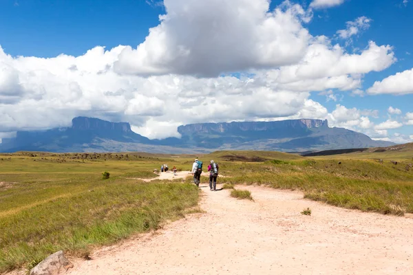 Mount Roraima Venezuela — Stockfoto