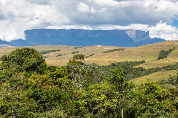 Mount Roraima Venezuela — Stock Fotó