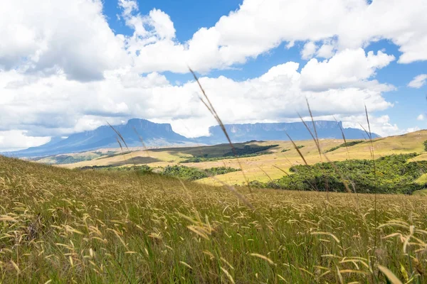 Mount Roraima Venezuela — Stock Fotó