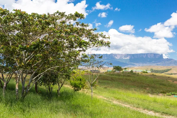 Mount Roraima Venezuela — Stock Fotó