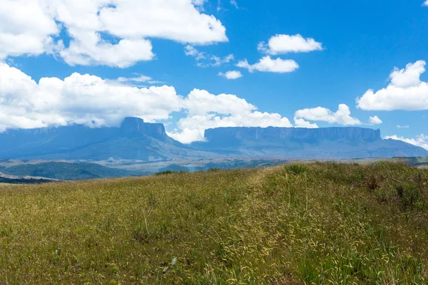 Mount Roraima Venezuela — Stock Fotó