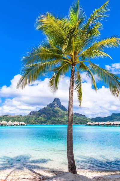 Isola Bora Bora Polinesia Francese — Foto Stock