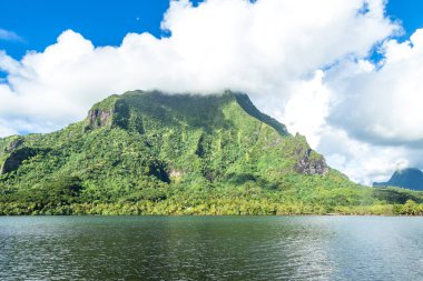 Moorea Adası Fransızca Polinezyası.