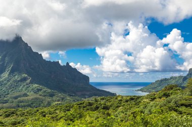 Moorea Adası Fransızca Polinezyası.