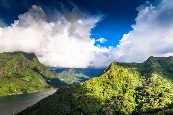 Isla Moorea Polinesia Francesa — Foto de Stock